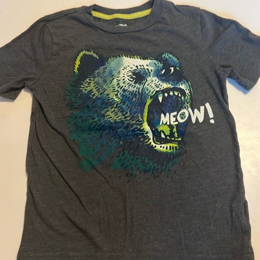 Gray Bear Graphic Kids T-Shirt